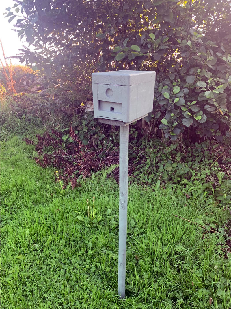bumble-bee-solitary-bee-home bumble-bee-solitary-bee-home